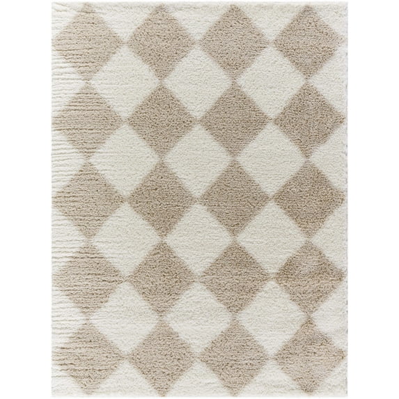 Hauteloom Achaia Living Room, Bedroom Area Rug - Contemporary - Plush Pile - Beige, Dark Beige - 5'3" x 7'