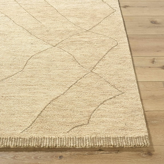 Hauteloom Addien Wool Living Room, Bedroom Area Rug - Bohemian, Transitional - Beige, Sandstone, Taupe - 2' x 3'