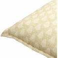 thumbnail image 1 of Hauteloom Adonia Throw Pillow, 1 of 4