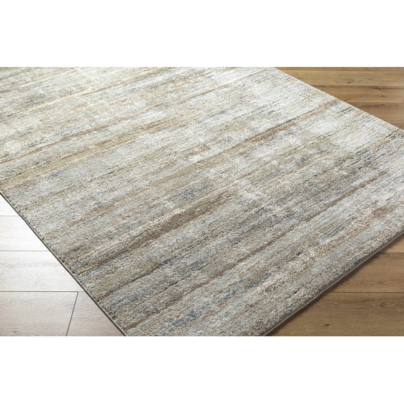 Hauteloom Agueda Hallway, Kitchen Runner Rug - Contemporary - High Pile - Light Gray, Tan, Beige - 2'7" x 7'3"