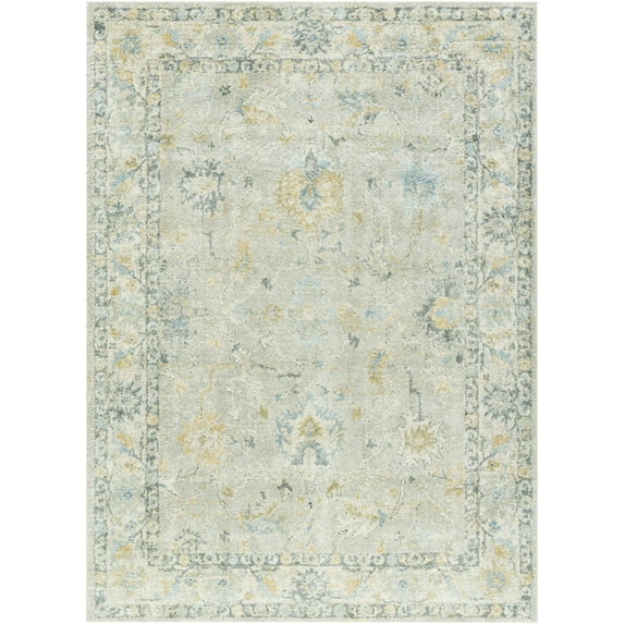 Hauteloom Ahmaud Living Room, Bedroom Area Rug - Traditional - High Pile - Light Gray, Beige, Gray - 9'2" x 12'