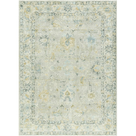 Hauteloom Ahmaud Living Room, Bedroom Area Rug - Traditional - High Pile - Light Gray, Beige, Gray - 9'2" x 12'