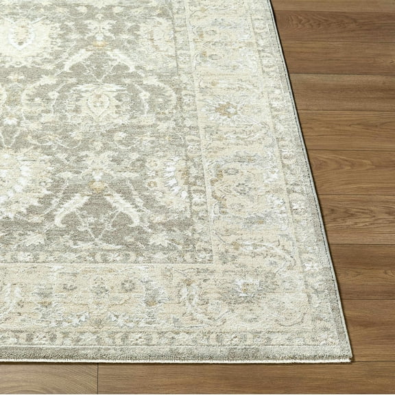 Hauteloom Airlia Living Room, Bedroom Area Rug - Traditional - Medium Gray, Cream, Sage - 2' x 2'11"
