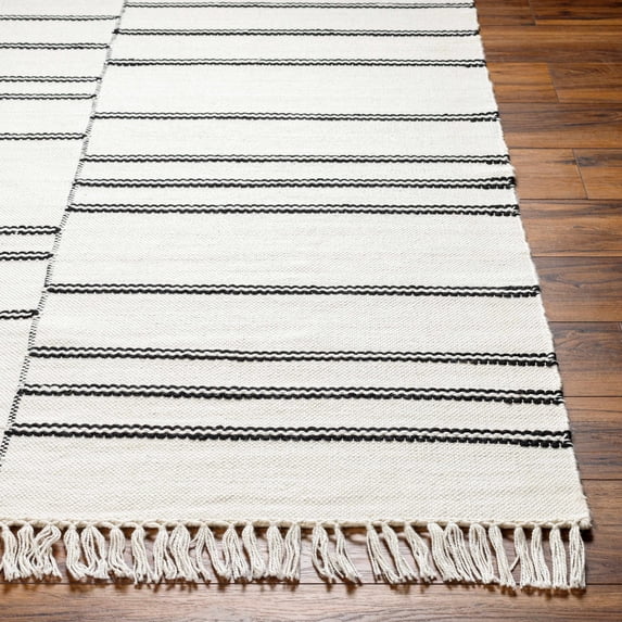 Hauteloom Akash Recycled Material Living Room, Bedroom Area Rug - Traditional, Transitional - Off White, Black White, Nickel - 2' x 3'