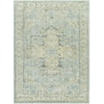 thumbnail image 1 of Hauteloom Akshay Living Room, Bedroom Area Rug - Traditional - High Pile - Beige, Light Gray, Pale Blue - 10' x 14', 1 of 2
