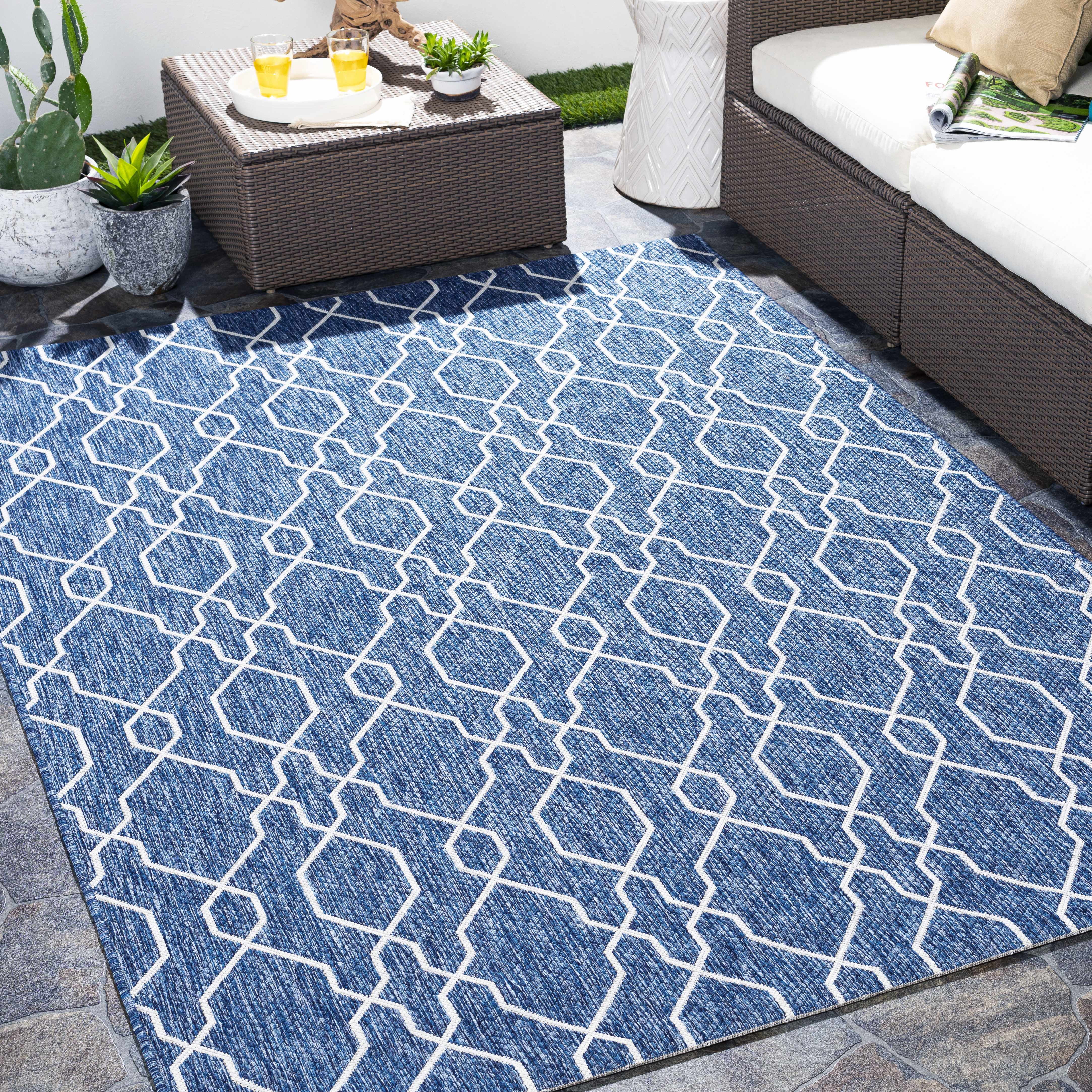 Hauteloom Aldford Living Room, Bedroom Patio Outdoor Area Rug ...