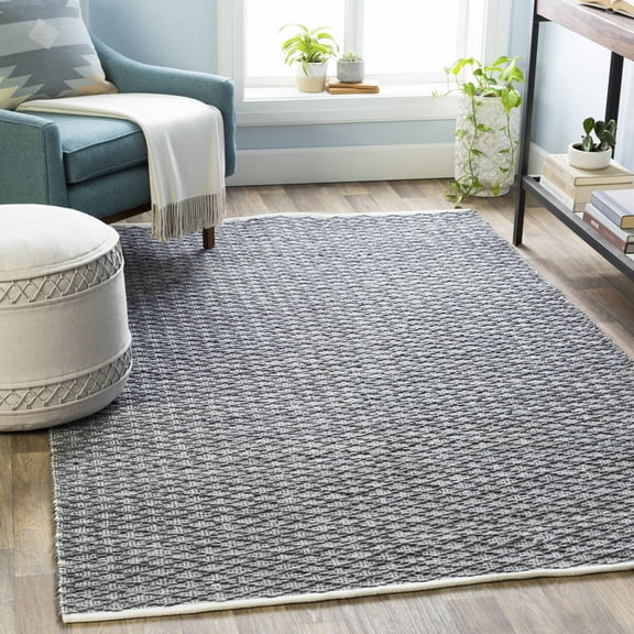 Hauteloom Alta Living Room, Bedroom Area Rug - Contemporary - Light Gray, Charcoal, Cream - 2' x 3'