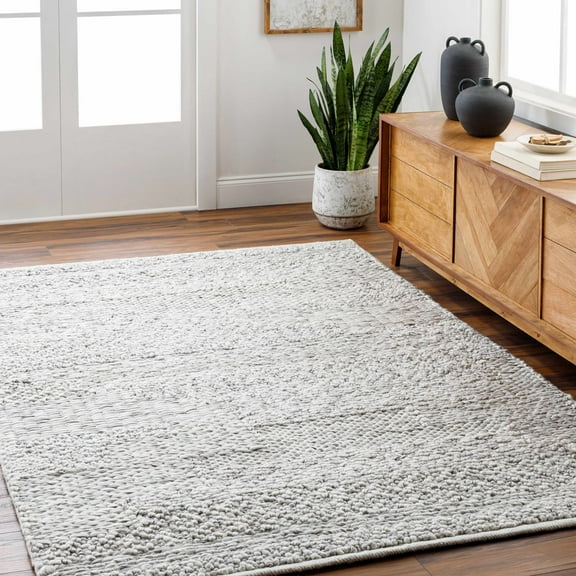 Hauteloom Amon Recycled Material Living Room, Bedroom Area Rug - Contemporary - Natural Gray, Dark Gray, Cloud Gray - 2' x 3'