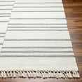 thumbnail image 1 of Hauteloom Aras Recycled Material Living Room, Bedroom Area Rug - Traditional, Transitional - Off White, Dark Gray, Pewter - 18" Sample, 1 of 6