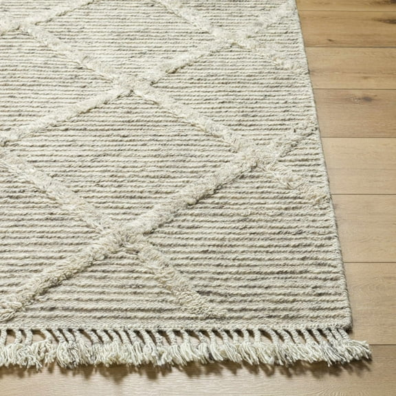 Hauteloom Arata Wool Living Room, Bedroom Area Rug - Beige, Brown - 2' x 3'