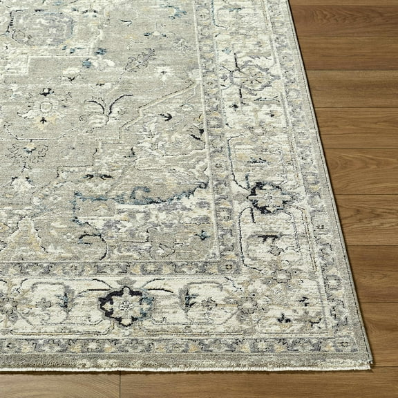 Hauteloom Ayzize Living Room, Bedroom Area Rug - Traditional - Beige, Ivory, Charcoal - 10' x 13'11"