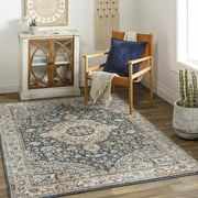Hauteloom Babag Living Room, Bedroom Area Rug - Traditional - Multi, Gray - 6'7" x 9'