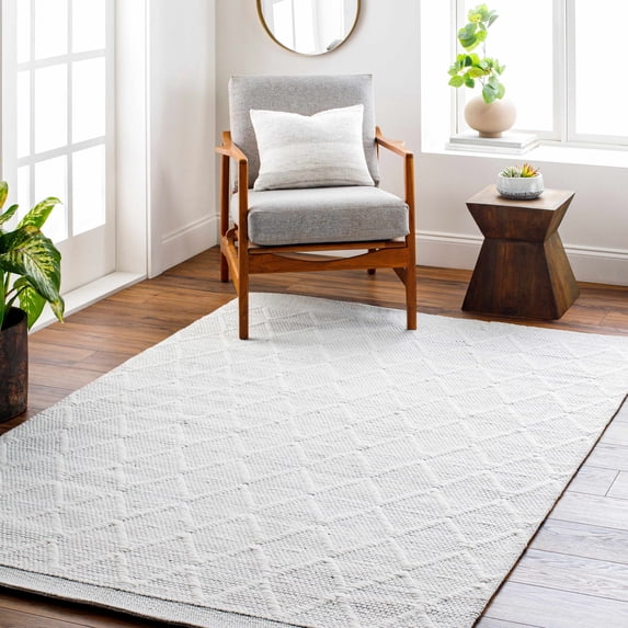 Hauteloom Bartimaeus Recycled Material Living Room, Bedroom Area Rug - Traditional, Transitional - Cream, Black - 6' x 9'