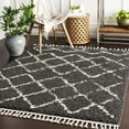 Hauteloom Berber Shag Collection Ayden Farmhouse Living Room Bedroom