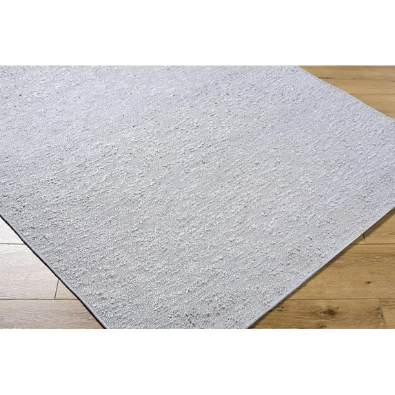 Hauteloom Breena Living Room, Bedroom Machine Washable Area Rug - Traditional, Transitional - Medium Gray - 27" x 45"