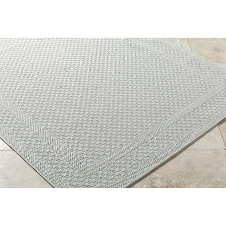 Hauteloom Brinda Living Room, Bedroom Patio Outdoor Area Rug - Contemporary - Light Silver, Sterling Gray - 5'3" x 7'