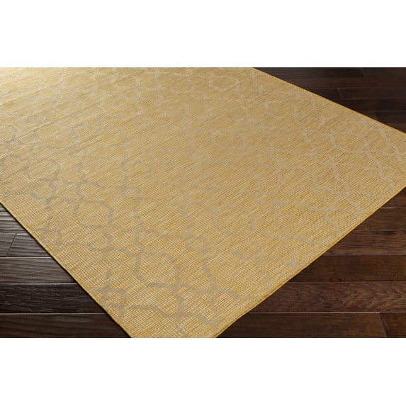 Hauteloom Brocton Living Room, Bedroom Patio Outdoor Area Rug - Traditional - Mustard - 6'4" x 9'