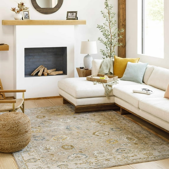 Hauteloom Cabinteely Living Room, Bedroom Area Rug - Traditional - Tan, Light Brown, Light Gray - 7'10" x 10'2"