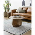 thumbnail image 1 of Hauteloom Charo Living Room, Bedroom Area Rug - Gray - 2' x 3', 1 of 9