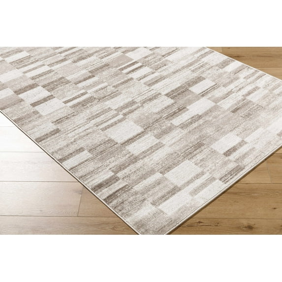 Hauteloom Cherie Living Room, Bedroom Area Rug - Contemporary - Silver Gray, Light Silver, Metallic Silver - 5'3" x 7'3"