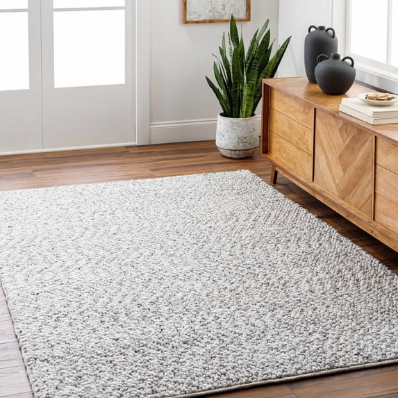 Hauteloom Chole Recycled Material Living Room, Bedroom Area Rug - Contemporary - Natural Gray, Dark Gray, Gray - 2' x 3'