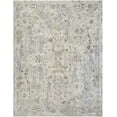 thumbnail image 1 of Hauteloom Nasir Hallway, Kitchen Runner Rug - Traditional - Light Gray, Medium Brown, Cream - 2'7" x 7'3", 1 of 10