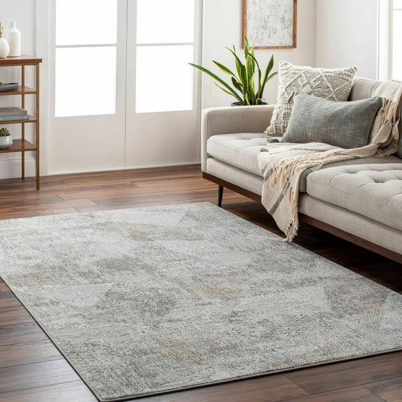 Hauteloom Cloudland Living Room, Bedroom Area Rug - Modern - Gray, Ivory - 2'7" x 4'
