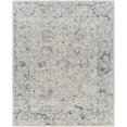 thumbnail image 1 of Hauteloom Ennio Living Room, Bedroom Area Rug - Traditional - Natural Gray, Charcoal, Gray - 2' x 3', 1 of 1