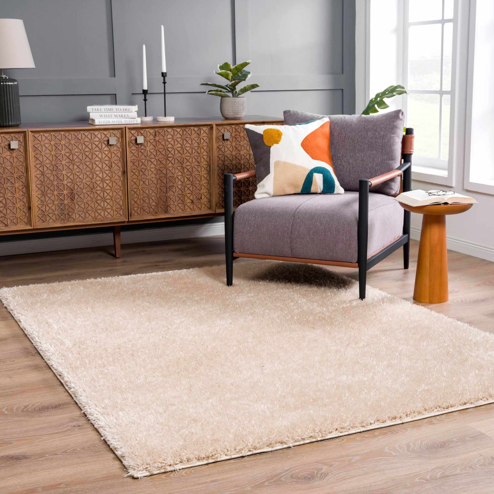 Hauteloom Faina Machine Washable Solid Shag Rug - Plain Living Room ...