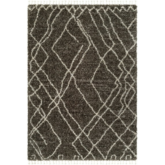 Hauteloom Hersz Living Room, Bedroom Area Rug - Plush Pile - Gray, Beige - 9'2" x 12'