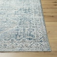 thumbnail image 1 of Hauteloom Kamea Hallway, Kitchen Runner Rug - Traditional - 2'6" x 10', 1 of 8