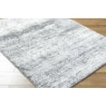 thumbnail image 1 of Hauteloom Kohaku Living Room, Bedroom Area Rug - Traditional, Transitional - High Pile - Black, Charcoal, Light Gray - 2' x 2'11", 1 of 6
