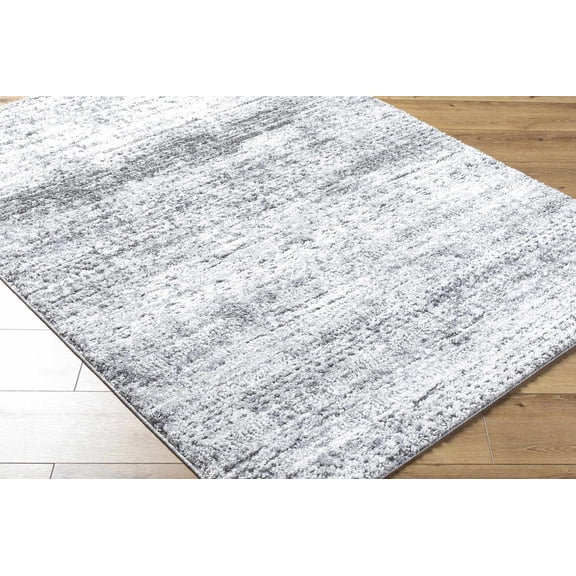 Hauteloom Kohaku Living Room, Bedroom Area Rug - Traditional, Transitional - High Pile - Black, Charcoal, Light Gray - 2' x 2'11"