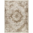 thumbnail image 1 of Hauteloom Kosta Living Room, Bedroom Area Rug - Traditional - 7'10" x 10', 1 of 8