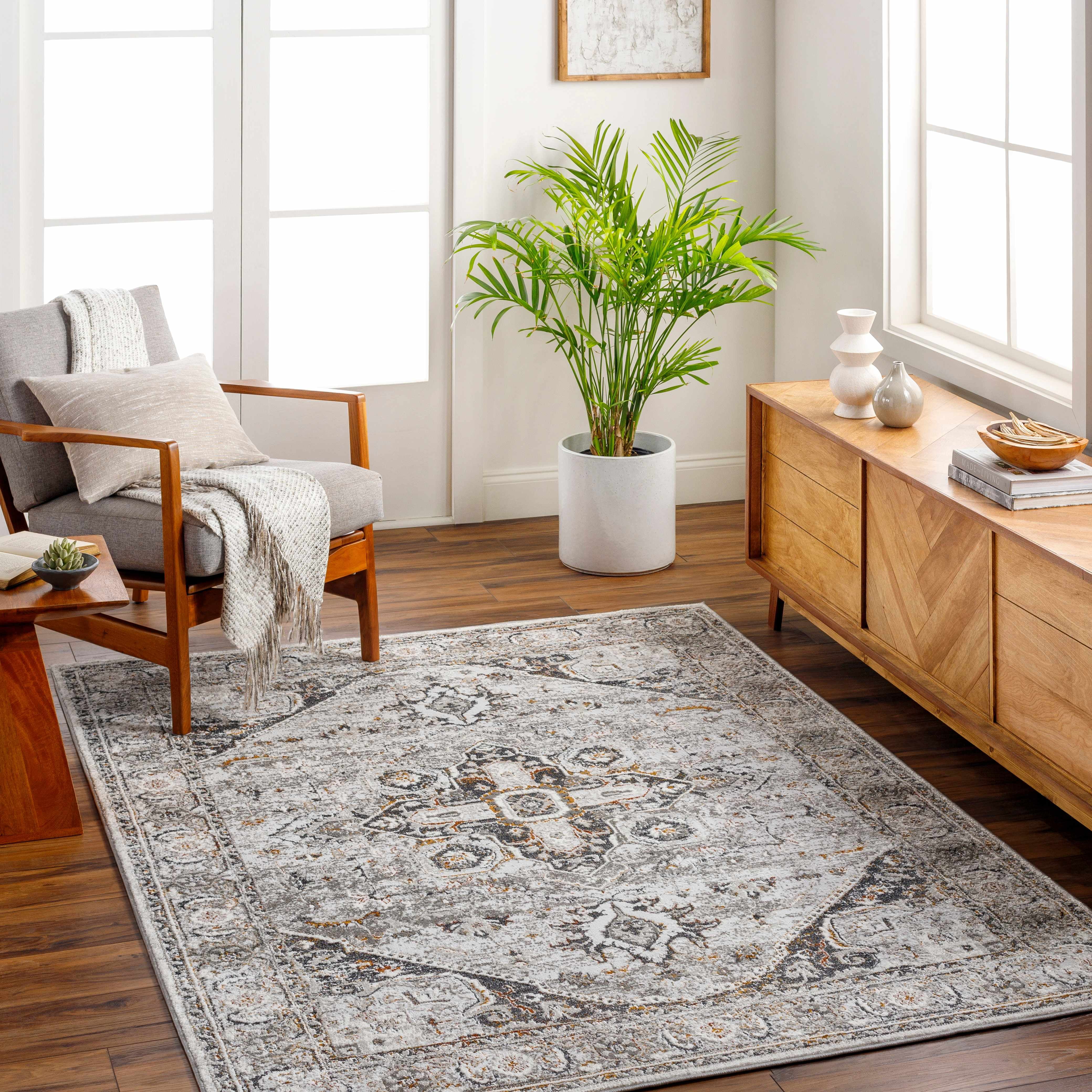 Hauteloom Liverpool Traditional Medallion Bedroom Living Room Small Area Rug - Oriental Carpet - Vintage Bohemian Farmhouse - Black, Light Grey, Dark Gray - 2' x 3'