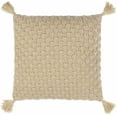 thumbnail image 1 of Hauteloom Magan Throw Pillow, 1 of 3