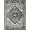 thumbnail image 1 of Hauteloom Manaring Living Room, Bedroom Area Rug - Traditional - High Pile - Charcoal, LightBlue, Dark Red - 18" Sample, 1 of 8