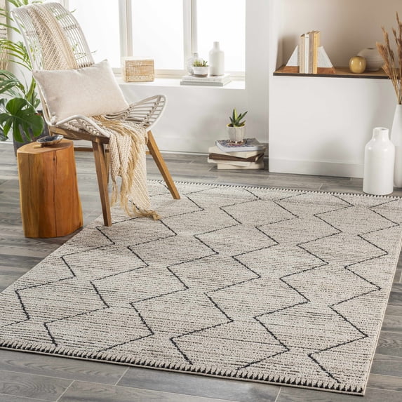 Hauteloom Maonon Living Room, Bedroom Area Rug - Bohemian, Transitional - Light Brown, Charcoal, Gray - 3'11" x 5'7"