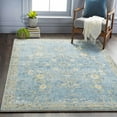 thumbnail image 1 of Hauteloom Marino Living Room, Bedroom Area Rug - Traditional - Denim, Cream, Gray - 2' x 2'11", 1 of 9