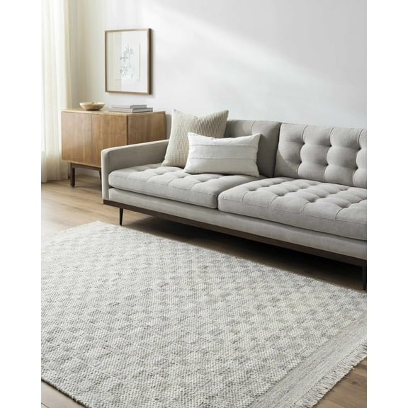 Hauteloom Meira Modern Hand Woven Natural Fiber Wool Area Rug - Contemporary Geometric Checkered Carpet with Fringe for Living Room, Bedroom, Dining Room - Ivory, Cream, Gray - 2' x 3'