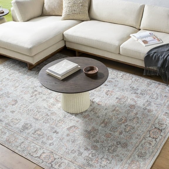 Livabliss x Our PNW Home Olympic Updated Traditional Runner Area Rug,2'7" x 12',Light Blue
