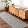 thumbnail image 1 of Hauteloom Piri Recycled Material Hallway, Kitchen Runner Rug - Contemporary - Light Gray, Eggplant, Neutral - 2'6" x 8', 1 of 7