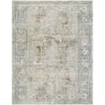 thumbnail image 1 of Hauteloom Pryce Living Room, Bedroom Area Rug - Traditional - Cream, MediumBrown, LightGray - 18" Sample, 1 of 10