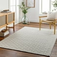 thumbnail image 1 of Hauteloom Puna Wool Living Room, Bedroom Area Rug - Beige, Gray - 27" x 45", 1 of 6