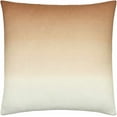 thumbnail image 1 of Hauteloom Rohit Throw Pillow, 1 of 4
