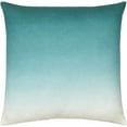 thumbnail image 1 of Hauteloom Rohit Throw Pillow, 1 of 5