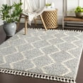 thumbnail image 1 of Hauteloom Royal Living Room, Bedroom Area Rug - Bohemian/Global - Plush Pile - 5'3" x 7'3", 1 of 10
