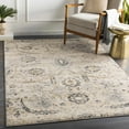 thumbnail image 1 of Hauteloom Sunnyside Living Room, Bedroom Area Rug - Traditional - Beige, Black, Charcoal - 9' x 12'4", 1 of 6
