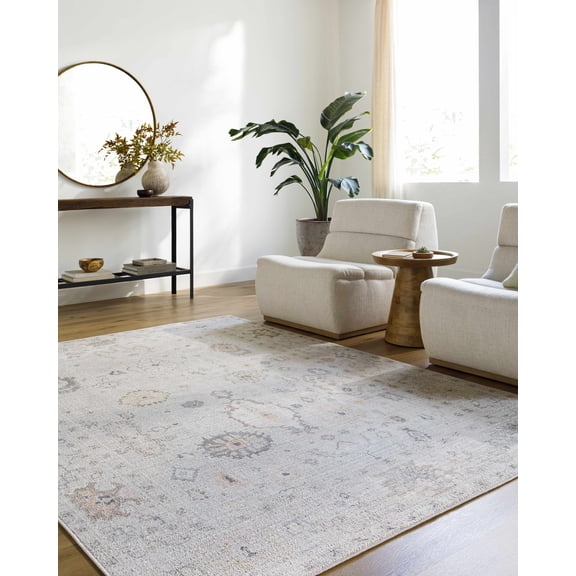 Hauteloom Taryn Hallway, Kitchen Runner Rug - Traditional - Light Slate, Gray, Tan - 2'7" x 7'3"