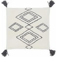 thumbnail image 1 of Hauteloom Tonkawa Throw Pillow, 1 of 2